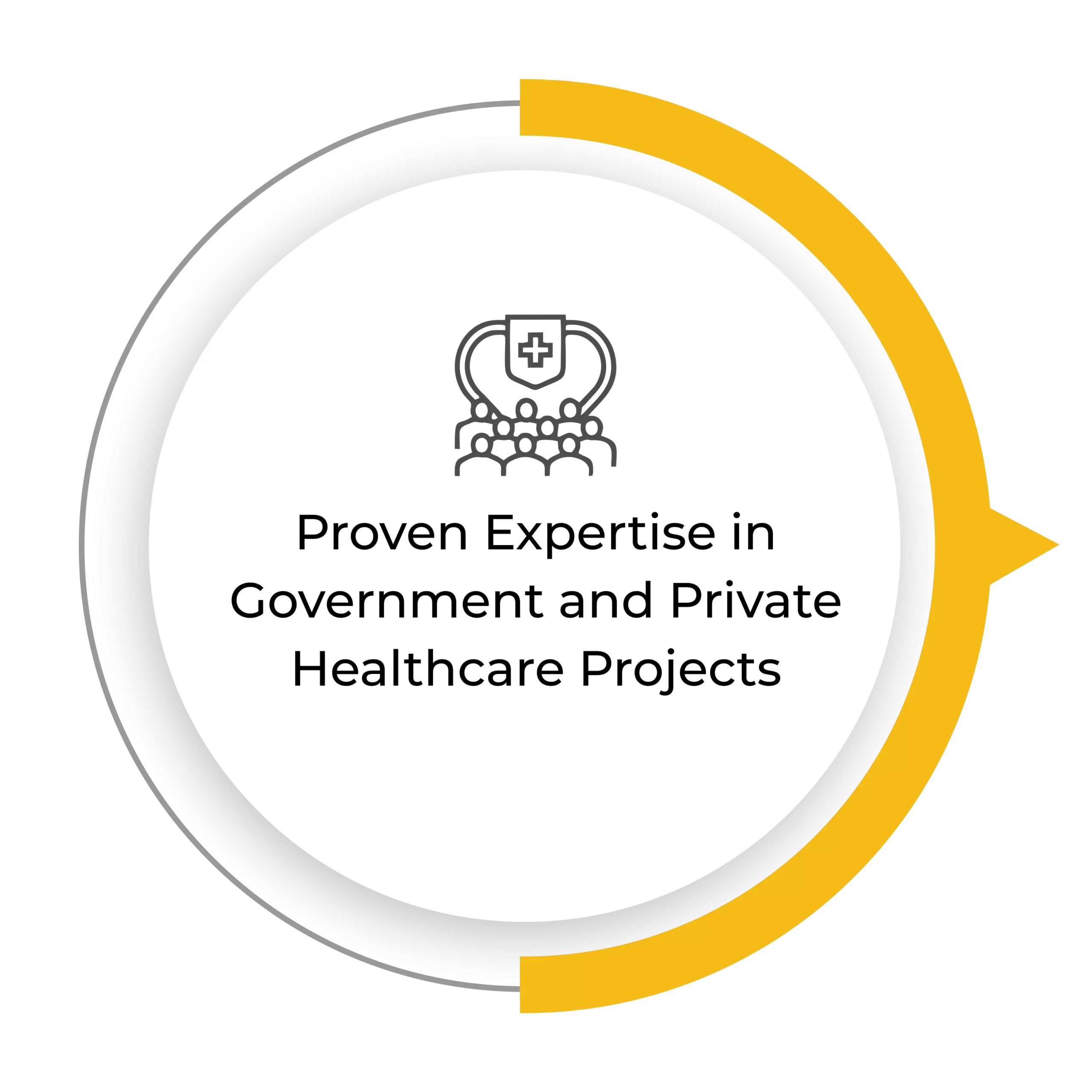 Proven Expertise in Government and Private Healthcare Projects